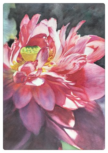 图片_20251126203936