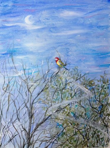 图片_20251126212213